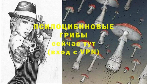индика Алексеевка
