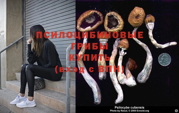 мяу мяу мука Алзамай