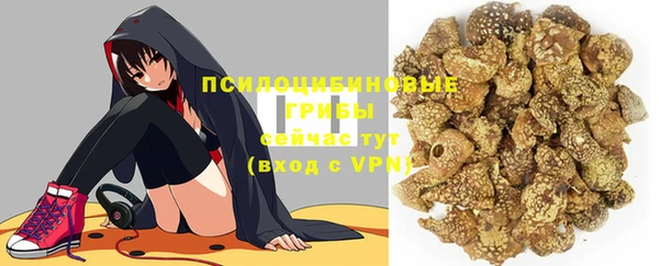мяу мяу мука Алзамай