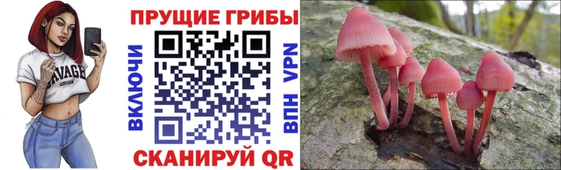 продажа наркотиков  блэк спрут tor  Псилоцибиновые грибы мухоморы  Перевоз 